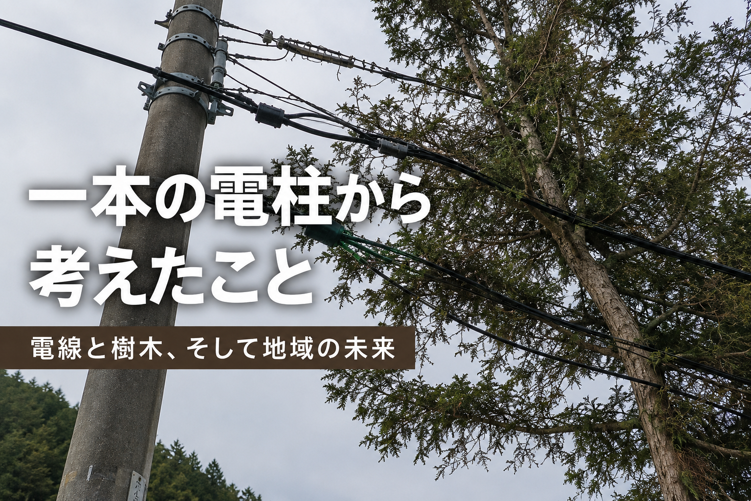 一本の電柱から考えたこと